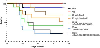 Immunogenicity and protective efficacy of nanoparticle formulations of L-SseB against Salmonella infection